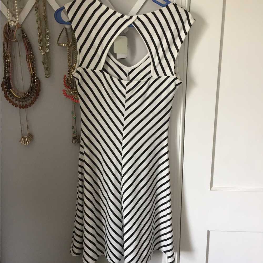 NWT - skater dress